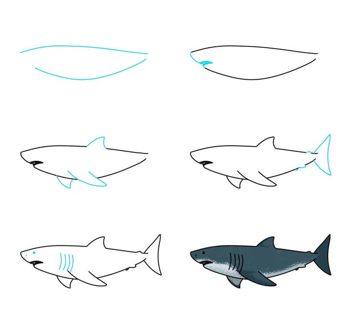 Dibujos de Tiburón salvaje