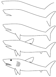 Dibujos de Tiburón tigre