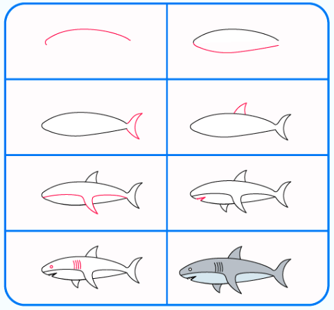 Dibujos de Tiburón toro