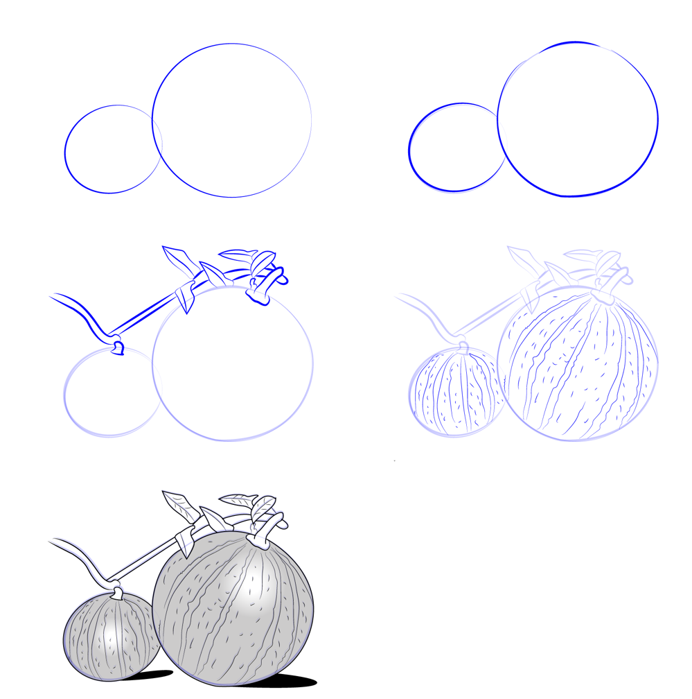 Dibujos de Sandía realista