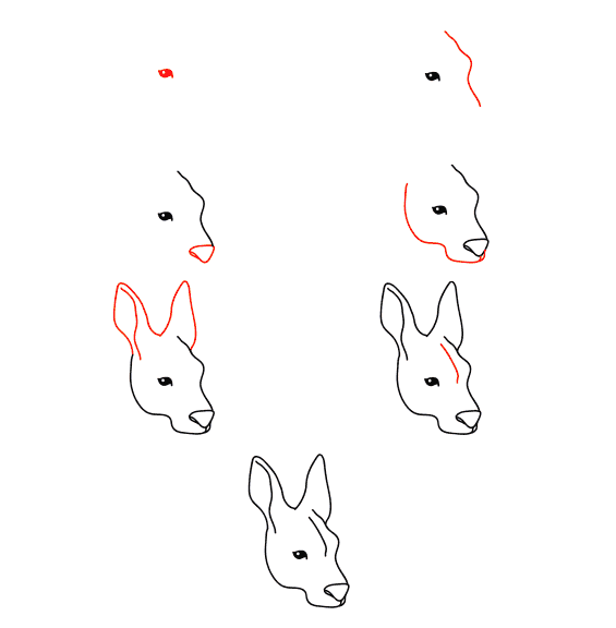 Dibujos de Canguro Australiano