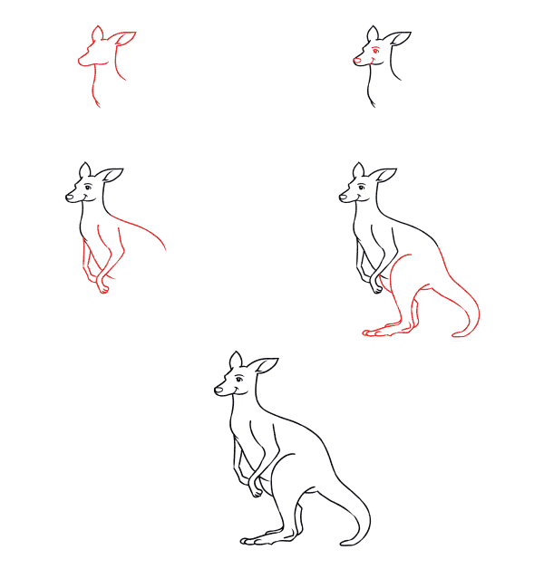 Dibujos de Canguro Bajo el Sol