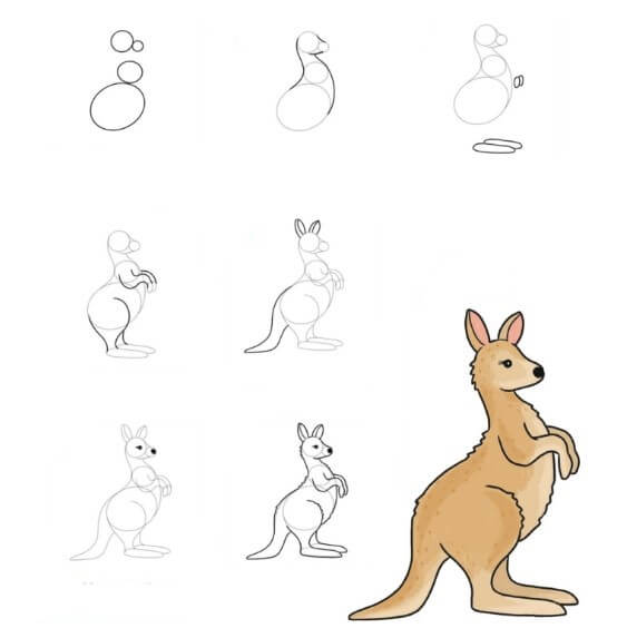 Dibujos de Canguro de Grandes Orejas
