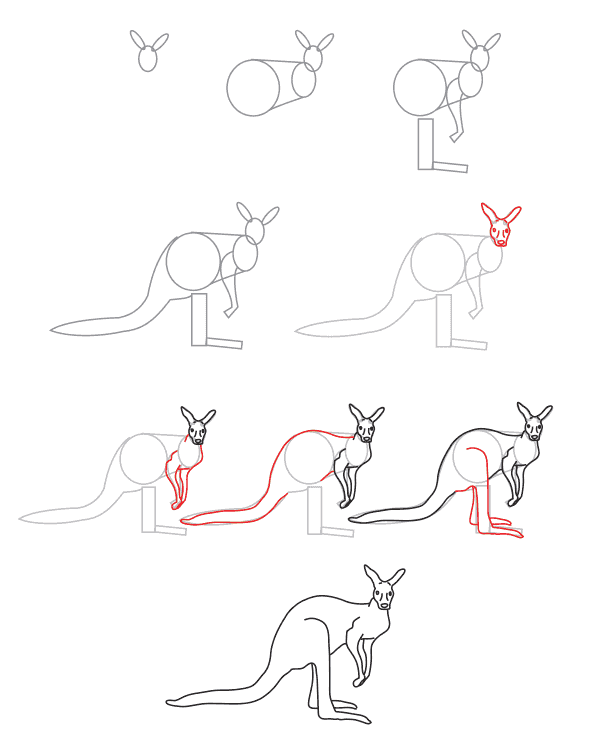Dibujos de Canguro Gigante