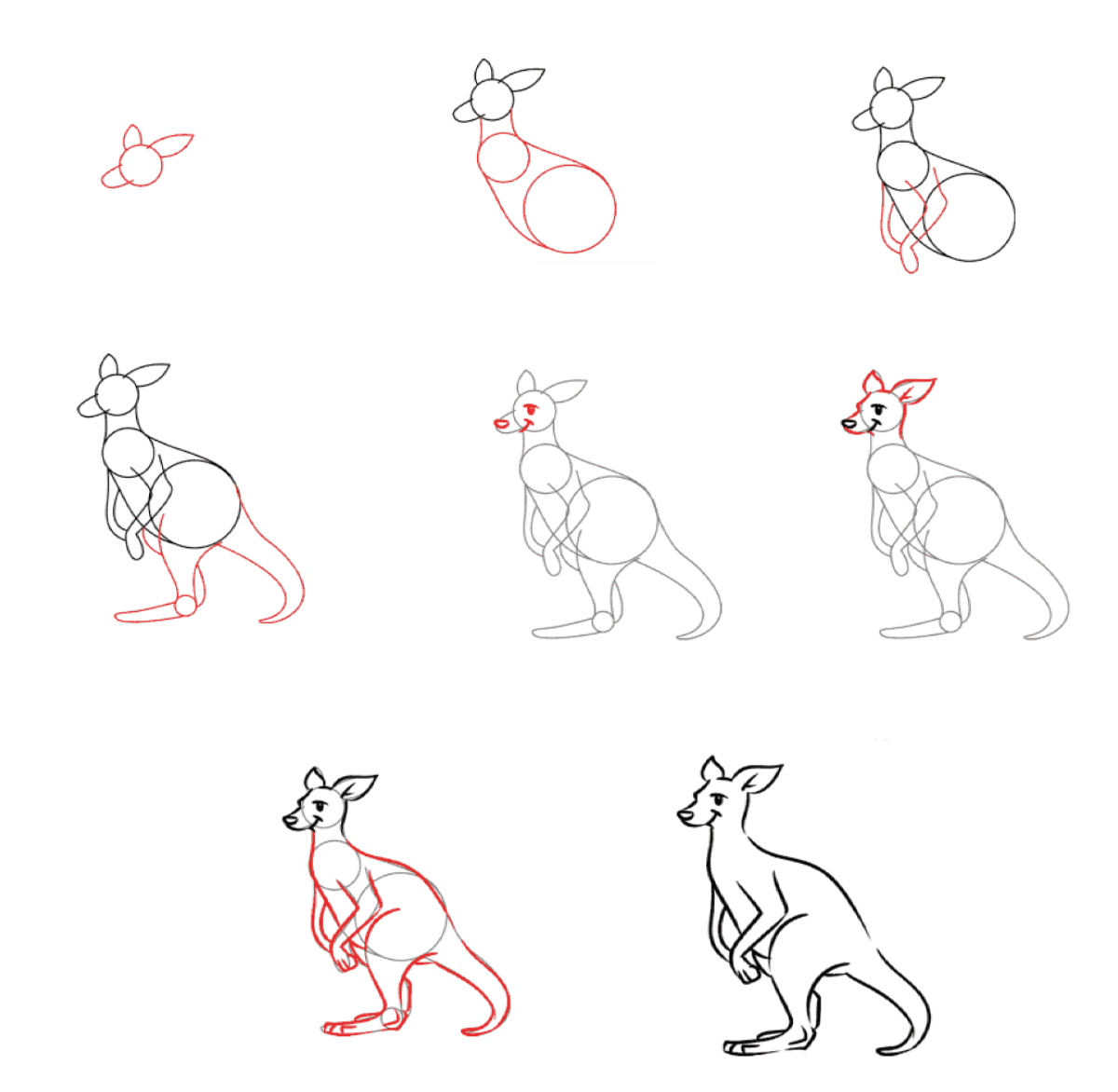 Dibujos de Canguro Gris