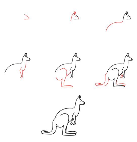 Dibujos de Canguro Saltando Alto