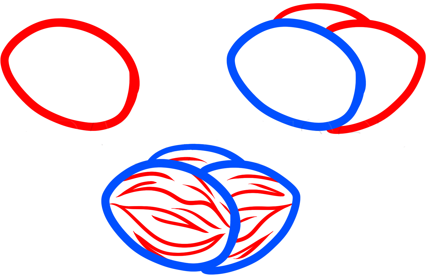 Dibujos de Coco de palmera