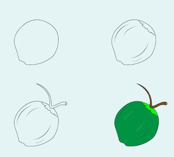 Dibujos de Coco del Caribe