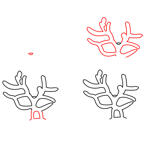 Dibujos de Coral exótico