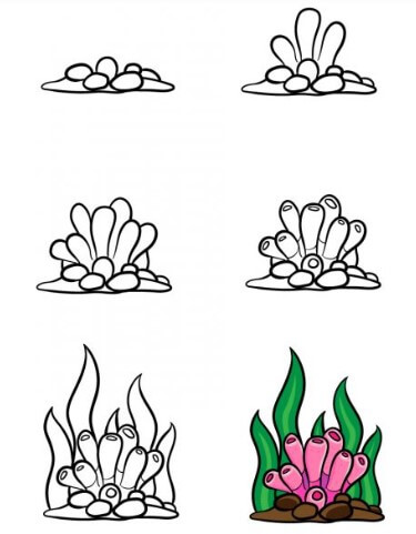 Dibujos de Coral hermoso