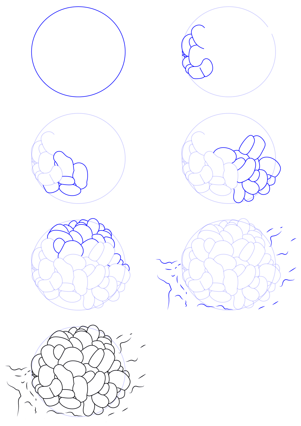 Dibujos de Coral submarino