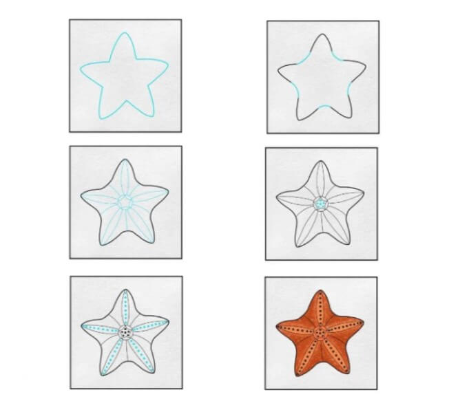 Dibujos de Estrella de Mar Colorida