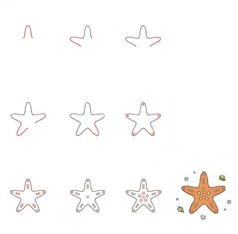 Dibujos de Estrella de Mar con Conchas