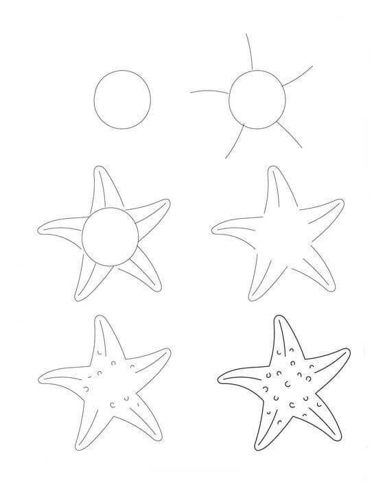Dibujos de Estrella de Mar de Cinco Brazos
