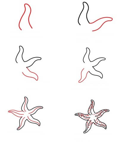 Dibujos de Estrella de Mar del Océano