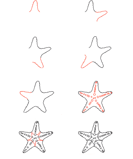 Dibujos de Estrella de Mar en la Playa
