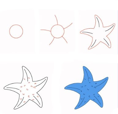 Dibujos de Estrella de Mar Gigante