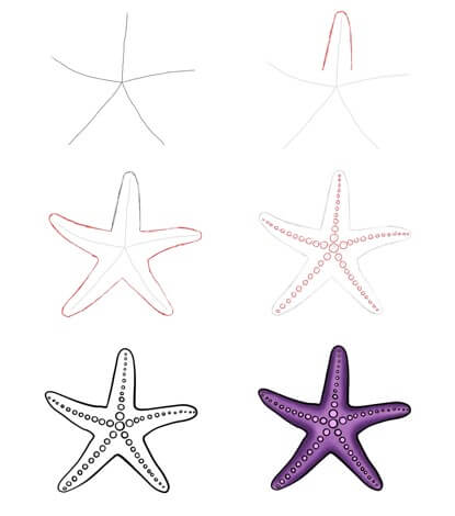Dibujos de Estrella de Mar Tropical