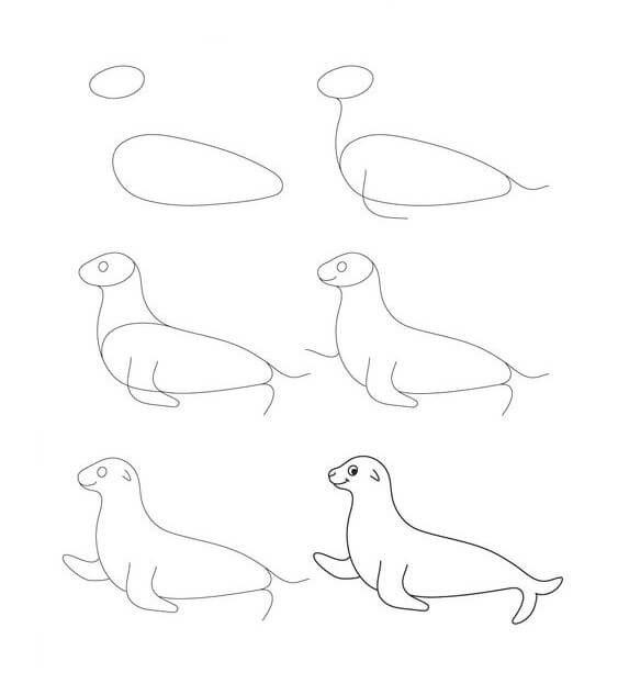 Dibujos de Foca Blanca
