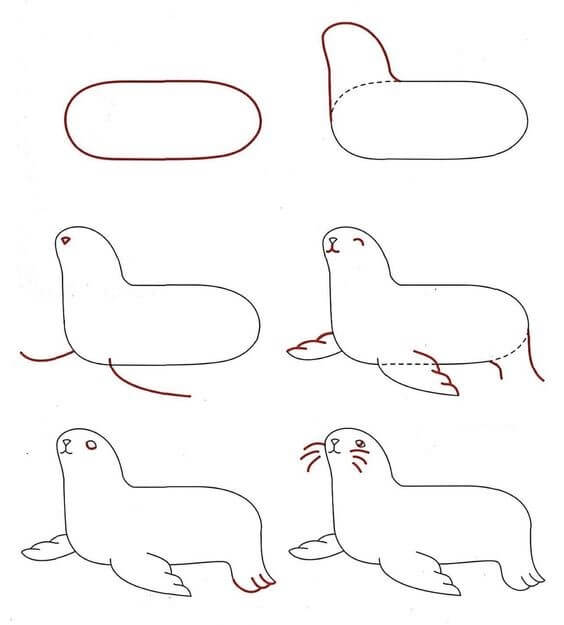 Dibujos de Foca Curiosa