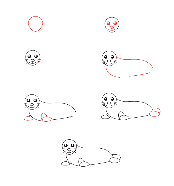 Dibujos de Foca de Grandes Ojos