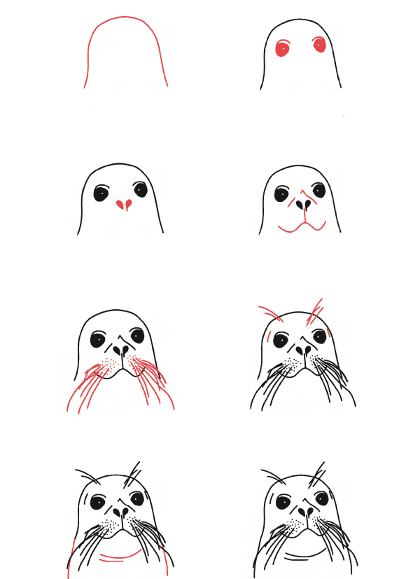 Dibujos de Foca del Polo