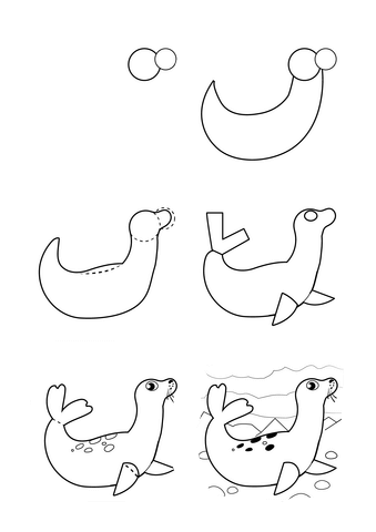 Dibujos de Foca en la Playa