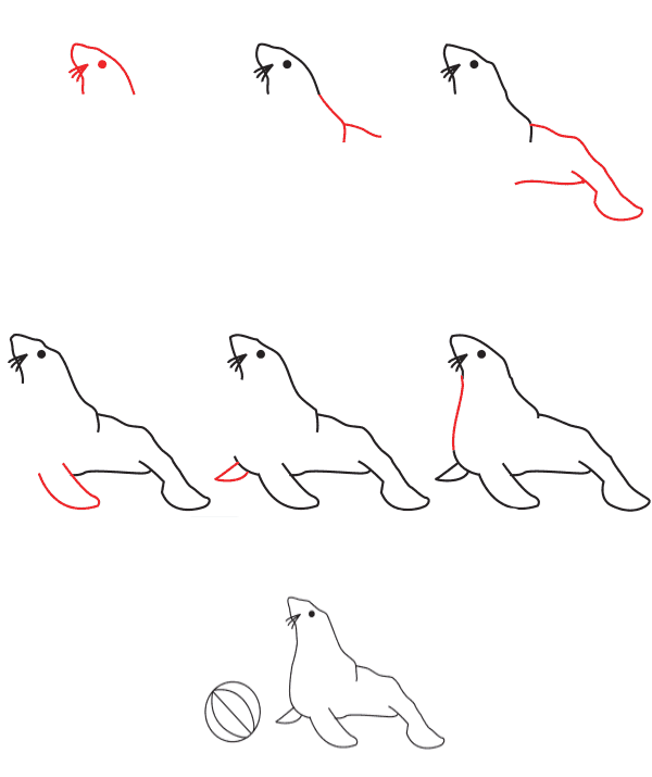 Dibujos de Foca entre las Olas