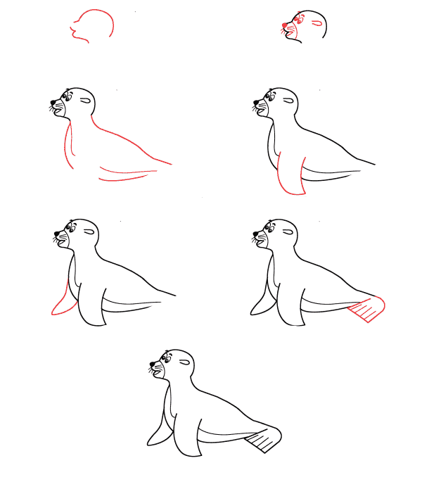 Dibujos de Foca Feliz