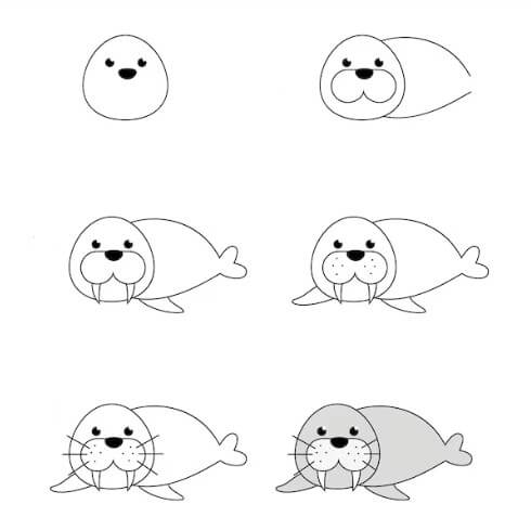 Dibujos de Foca Saltando
