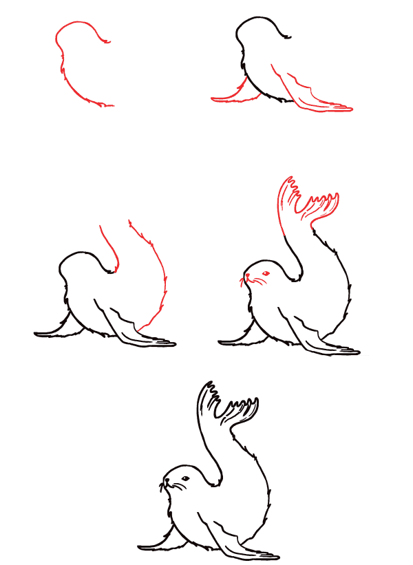 Dibujos de Foca Sonriente