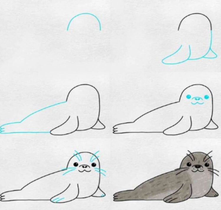 Dibujos de Foca Tierna