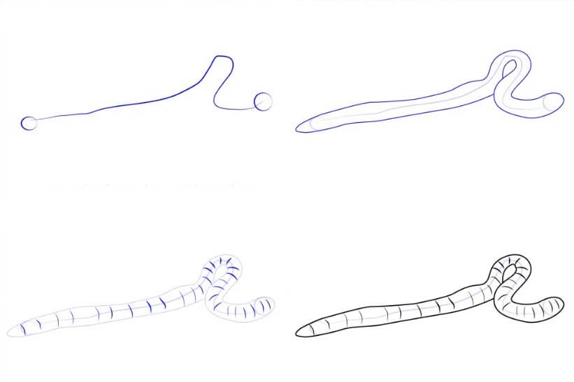 Dibujos de Gusano en la Naturaleza