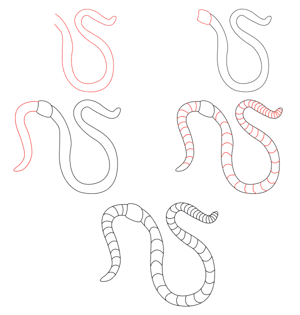Dibujos de Gusano largo