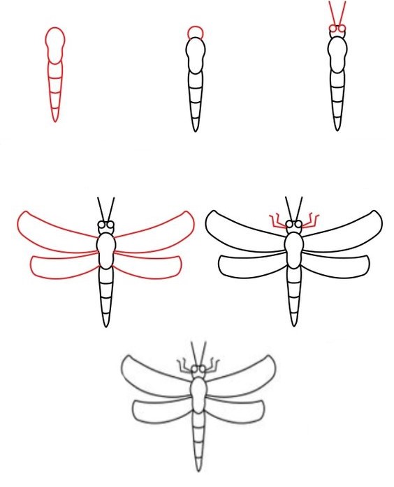 Dibujos de Libélula de Alas Transparentes