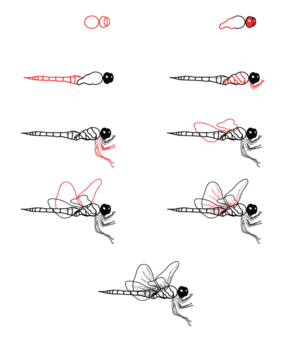 Dibujos de Libélula del Lago
