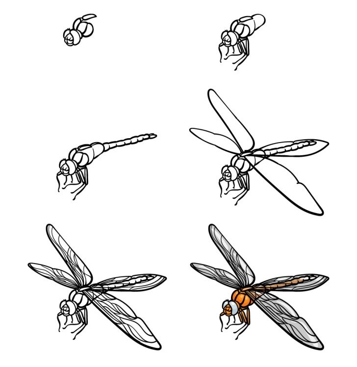 Dibujos de Libélula Dorada