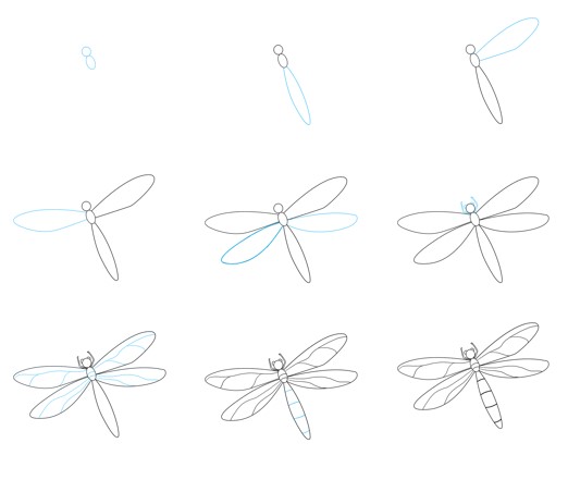 Dibujos de Libélula Elegante