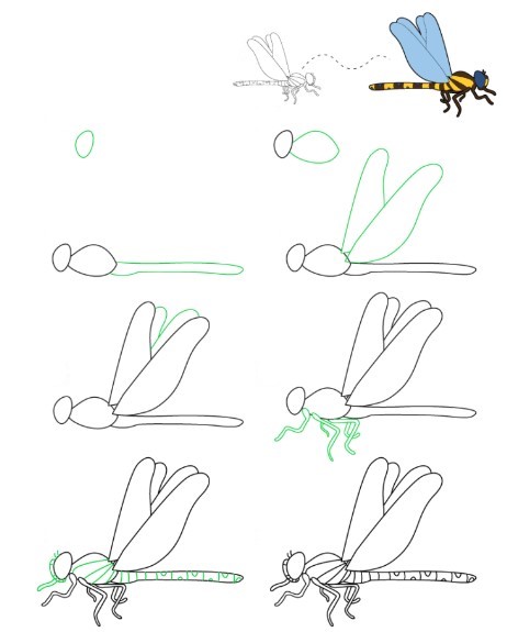 Dibujos de Libélula Exótica