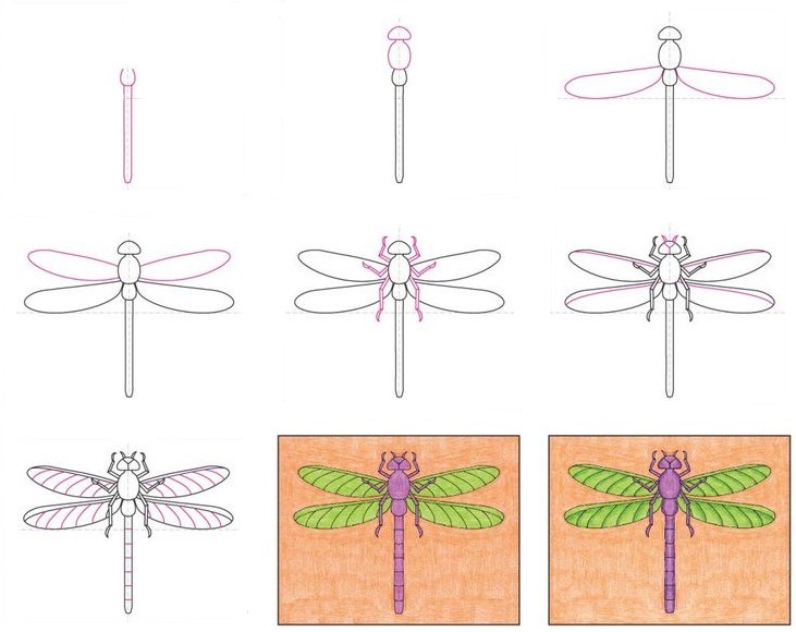 Dibujos de Libélula Multicolor