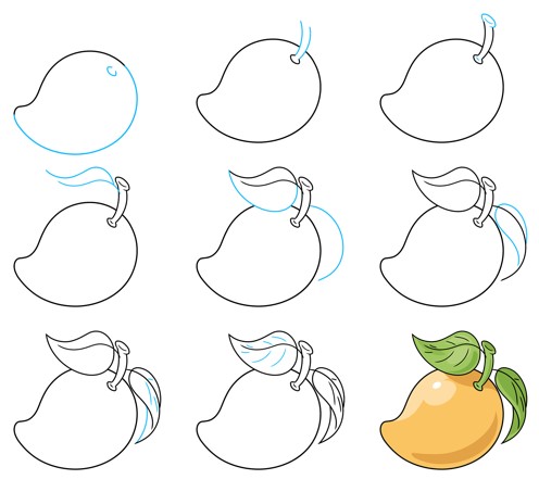 Dibujos de Mango redondo