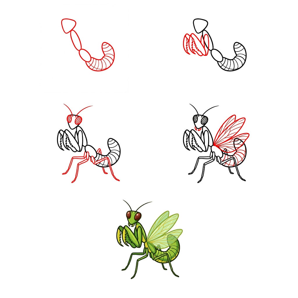 Dibujos de Mantis Religiosa Adorable