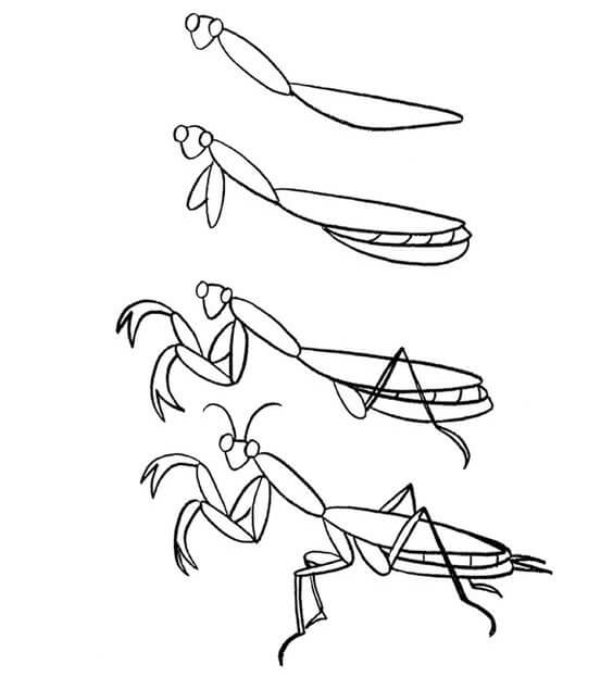 Dibujos de Mantis Religiosa Bajo las Hojas