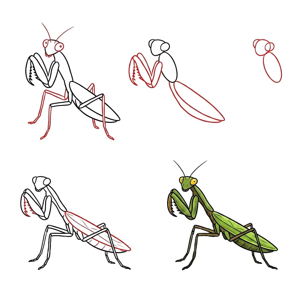 Dibujos de Mantis Religiosa Camuflada
