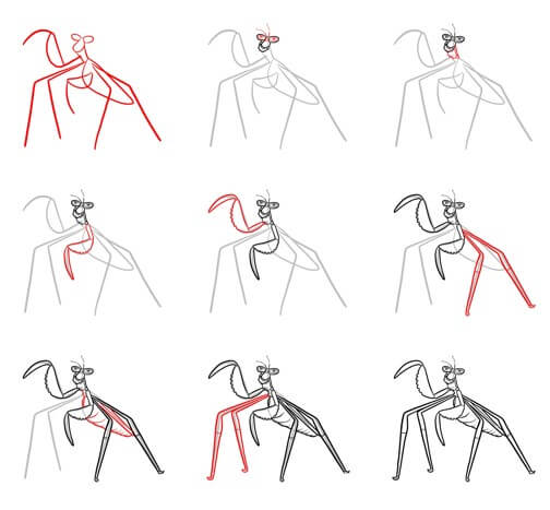 Dibujos de Mantis Religiosa de Alas