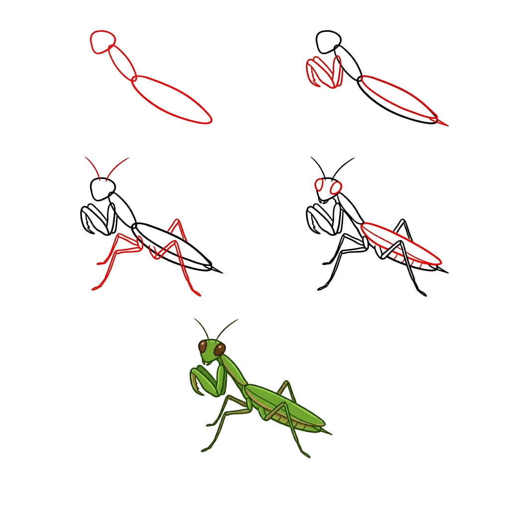 Dibujos de Mantis Religiosa de Patas Largas