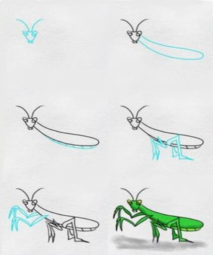 Dibujos de Mantis Religiosa de Primavera