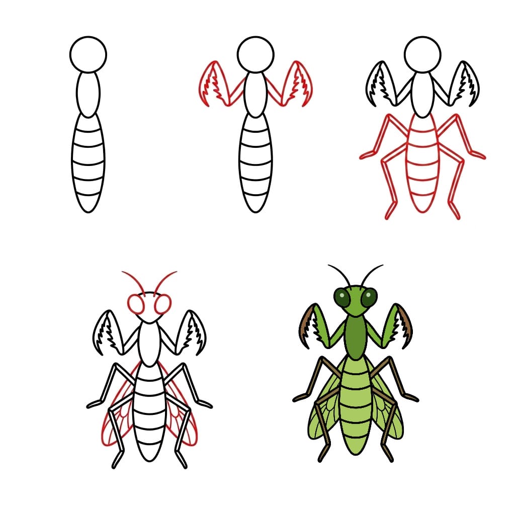 Dibujos de Mantis Religiosa del Bosque