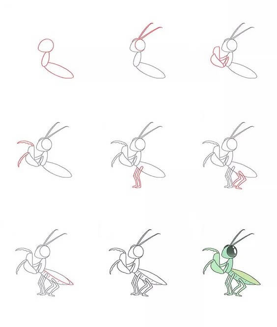 Dibujos de Mantis Religiosa del Campo