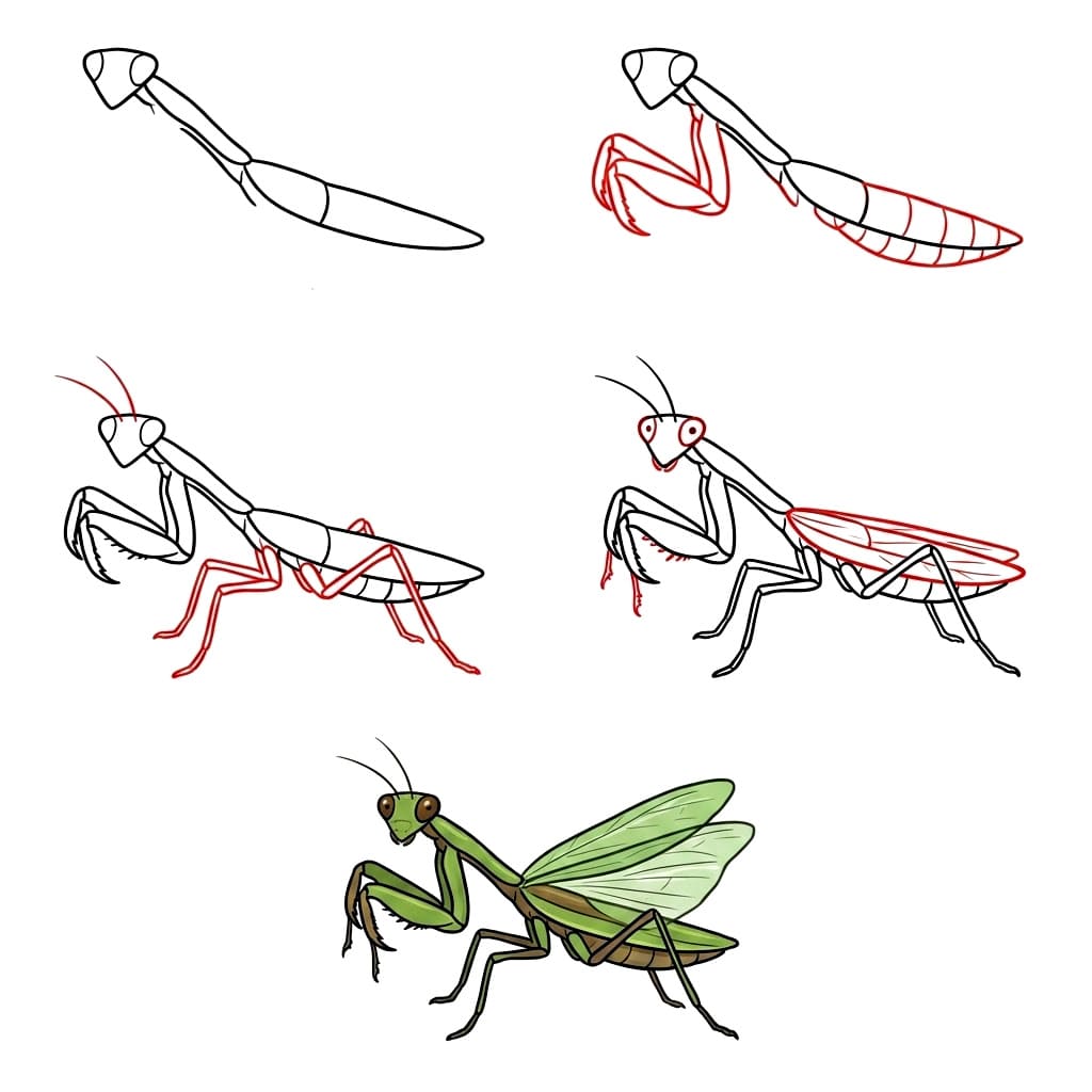 Dibujos de Mantis Religiosa Elegante